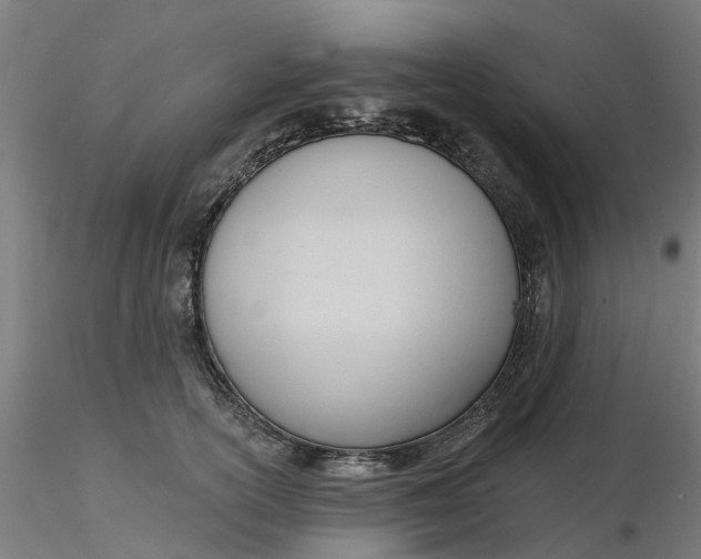 X0000116340754200912221441