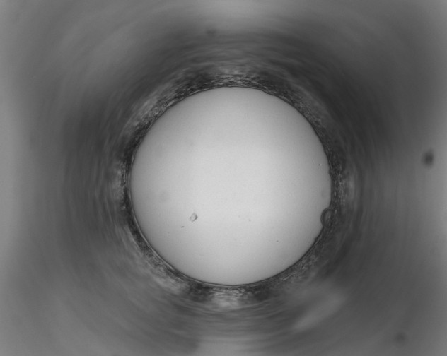 X0000116340757200912221441