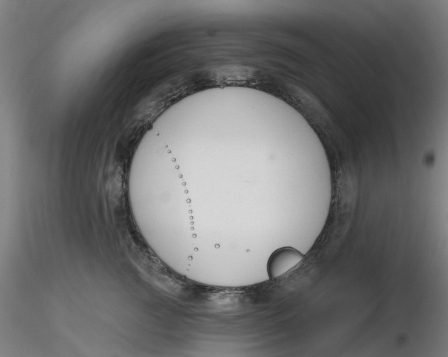 X0000116340761200912221441