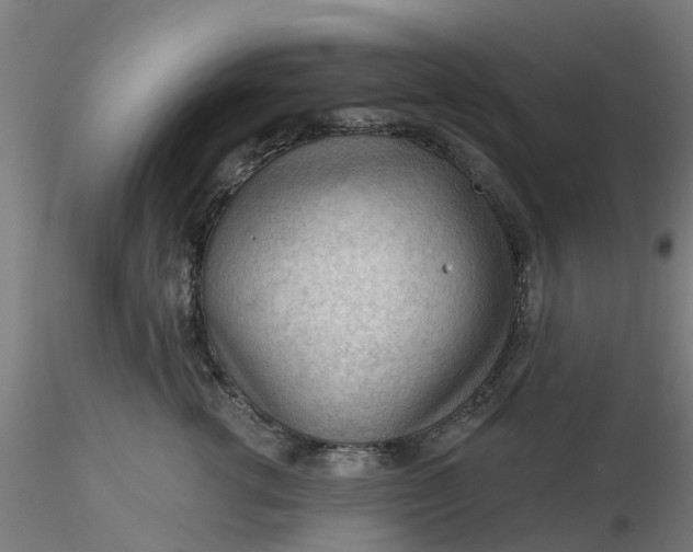 X0000116340762200912221441