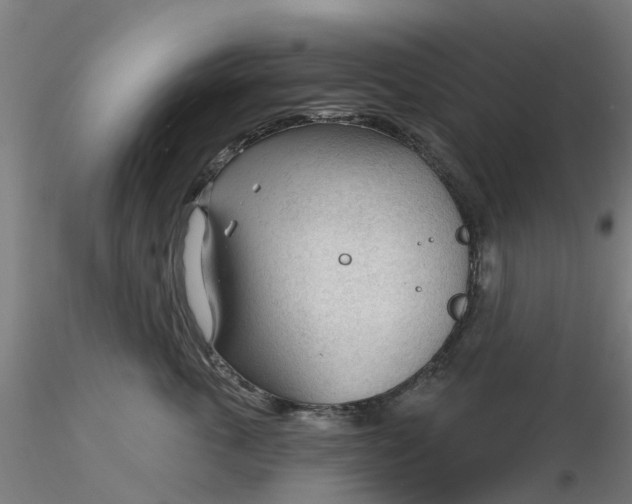 X0000116340763200912221441