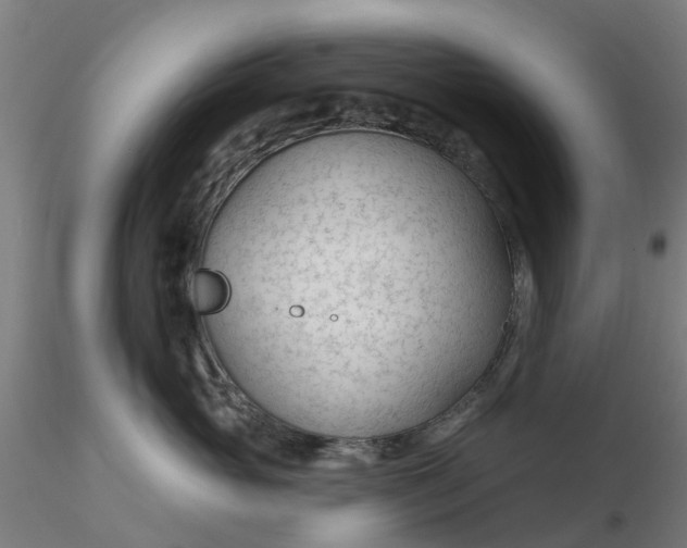 X0000116340765200912221441