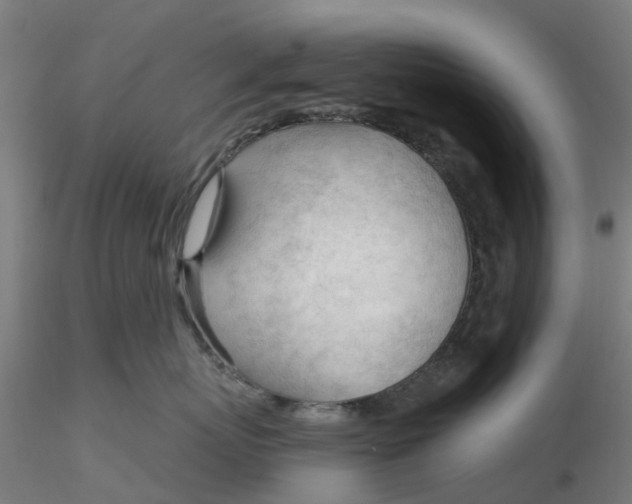 X0000116340767200912221441