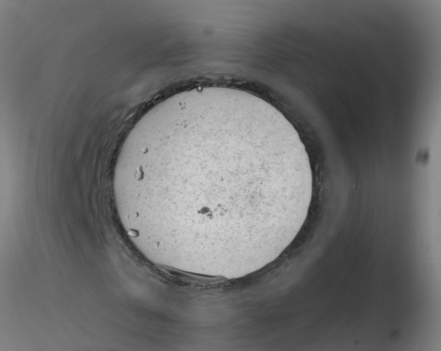 X0000116340769200912221440