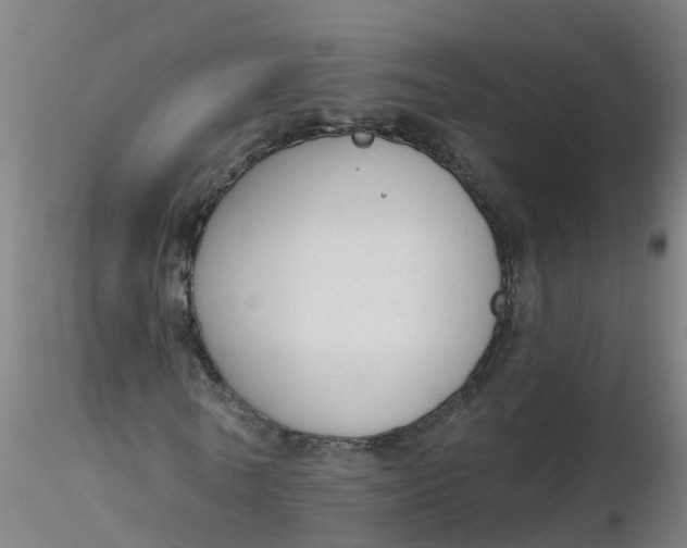 X0000116340770200912221440