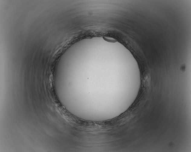 X0000116340772200912221440