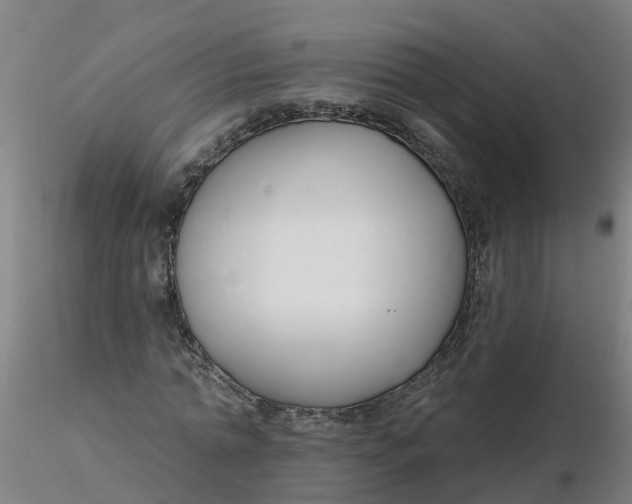 X0000116340774200912221440