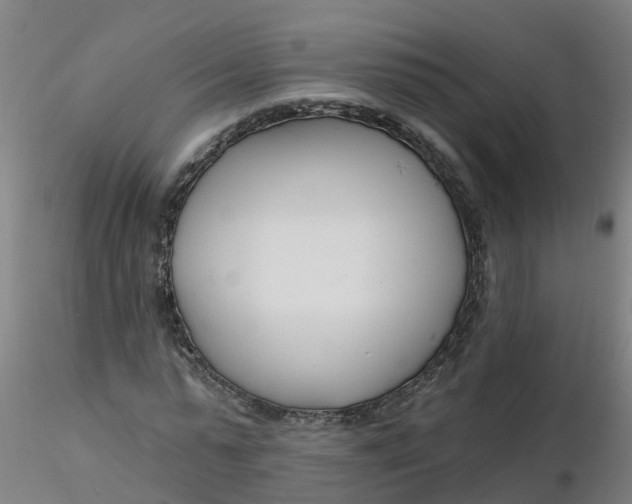 X0000116340775200912221440