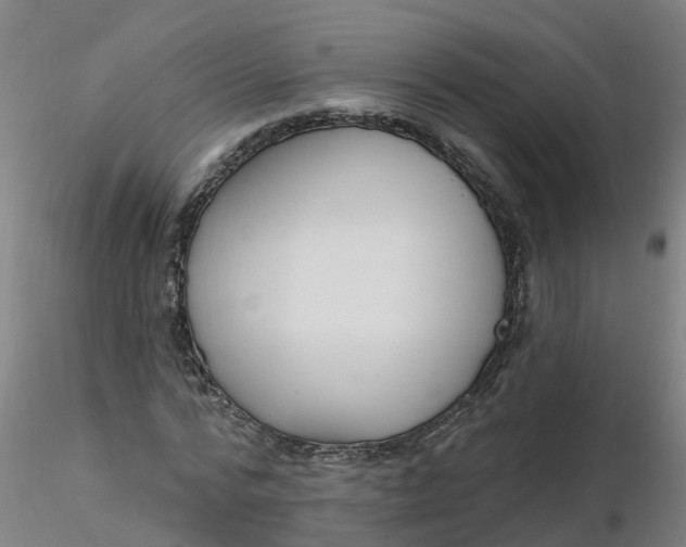 X0000116340776200912221440