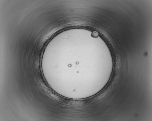 X0000116340778200912221440