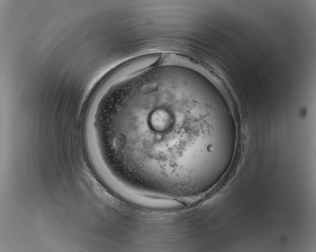 X0000116340779200912221440