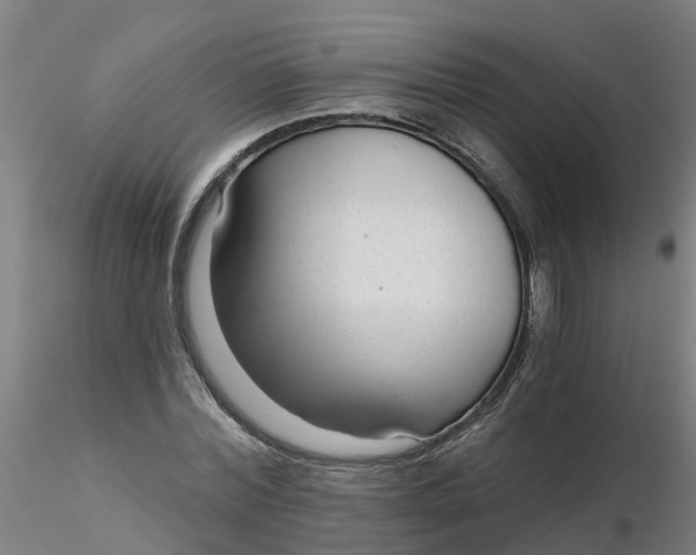 X0000116340780200912221440