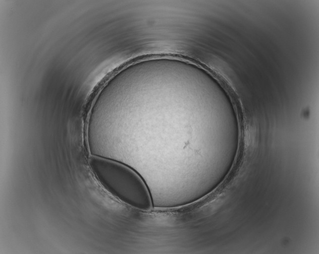 X0000116340781200912221440