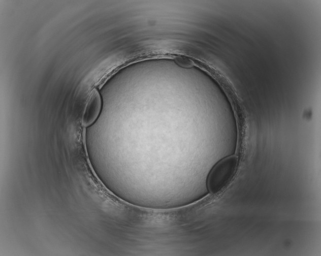 X0000116340785200912221440