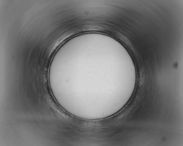 X0000116340786200912221440