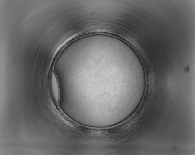 X0000116340790200912221440