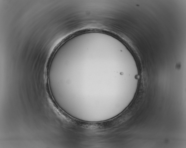 X0000116340791200912221440