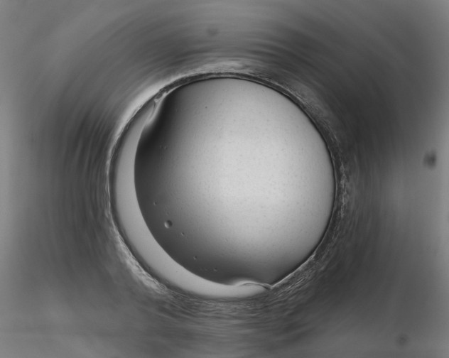 X0000116340792200912221440