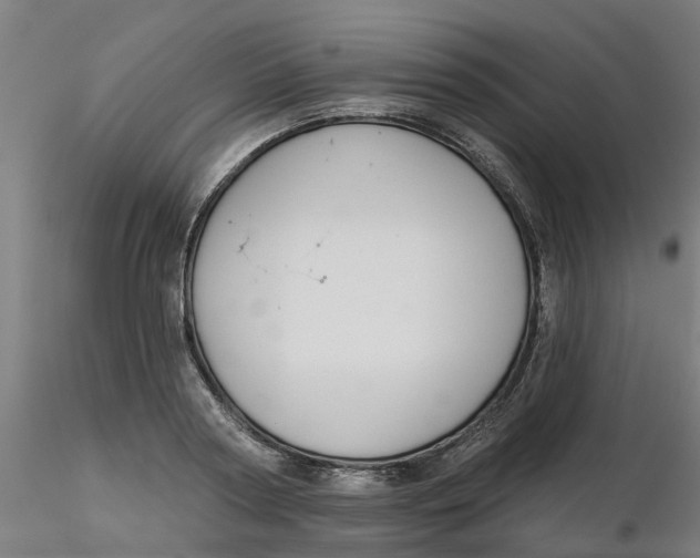 X0000116340794200912221440