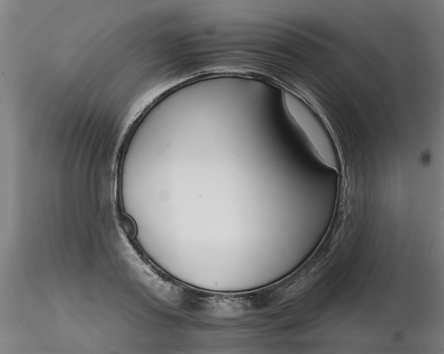 X0000116340795200912221440