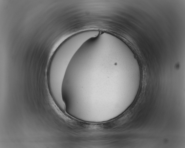 X0000116340796200912221440