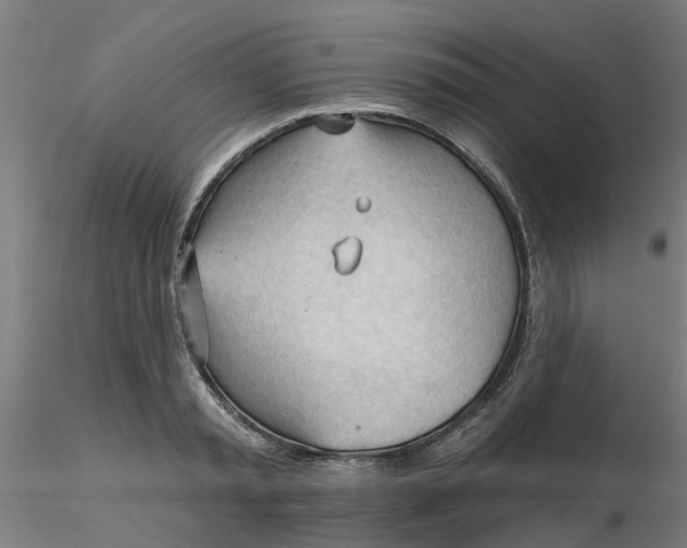 X0000116340797200912221440