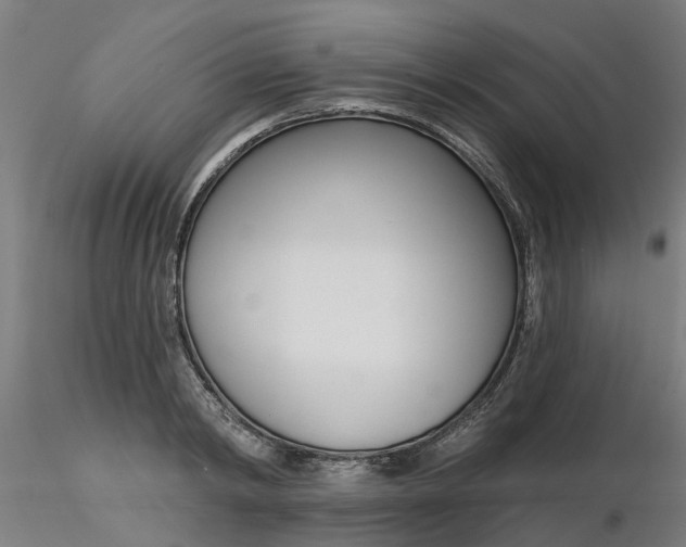 X0000116340798200912221440