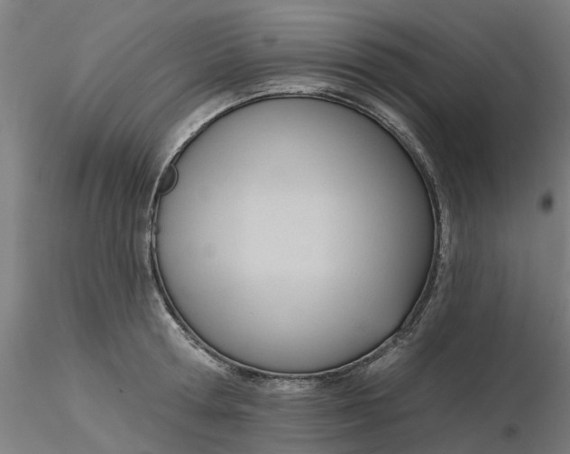 X0000116340802200912221440