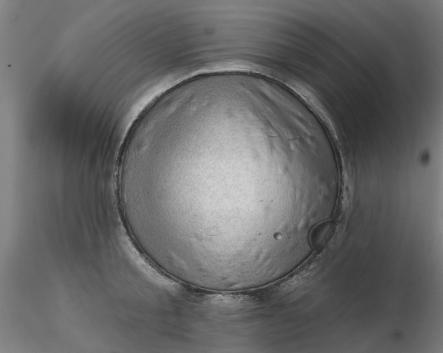 X0000116340805200912221440