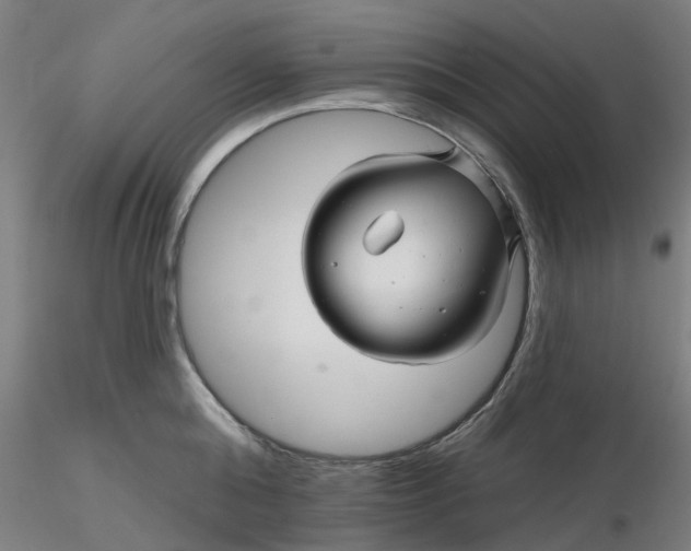 X0000116340808200912221440