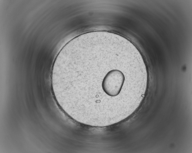 X0000116340810200912221440