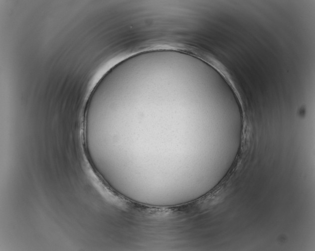 X0000116340811200912221440