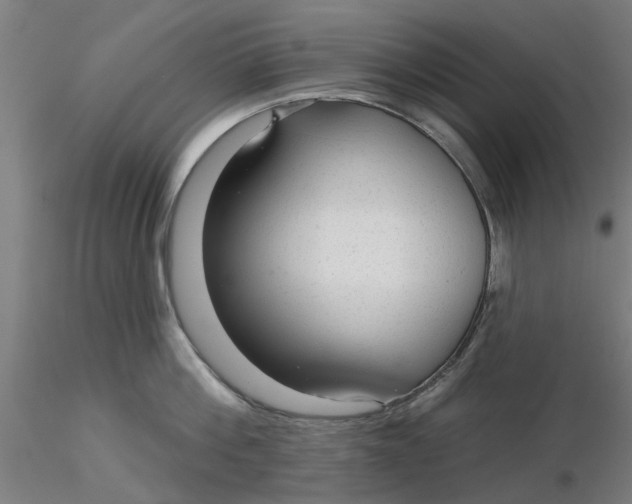 X0000116340812200912221440