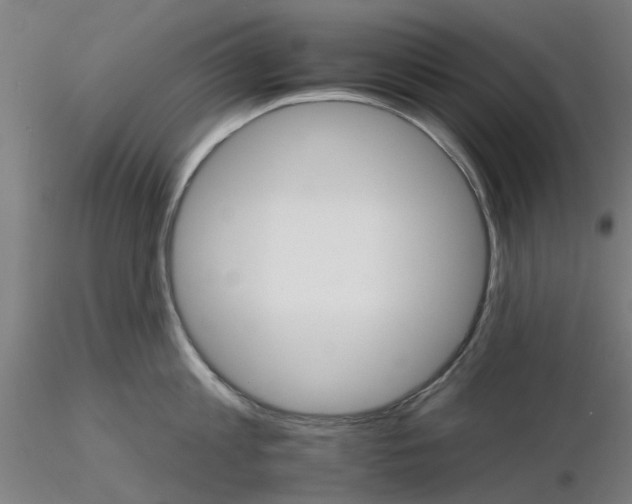 X0000116340813200912221439