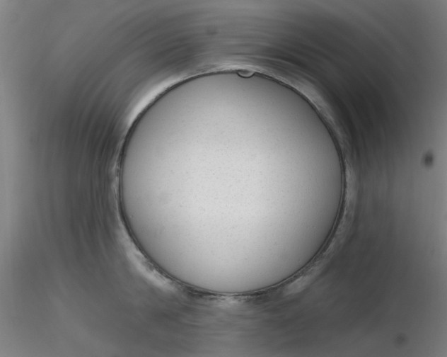 X0000116340814200912221439