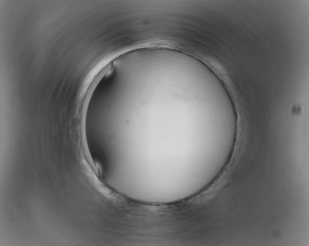 X0000116340816200912221439