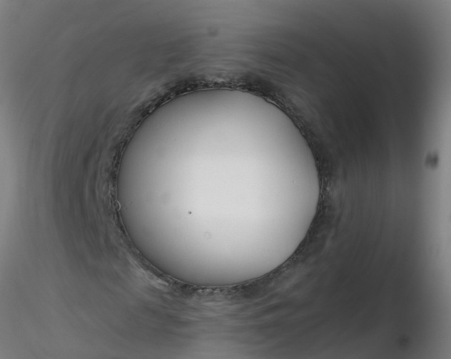 X0000116340817200912221439