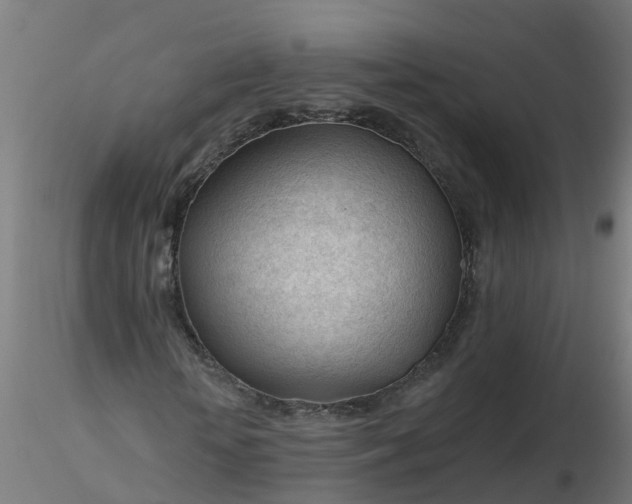 X0000116340818200912221439