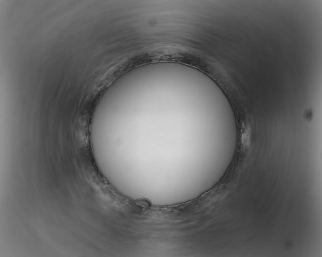 X0000116340819200912221439