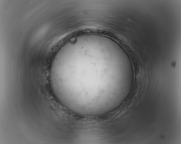 X0000116340822200912221439