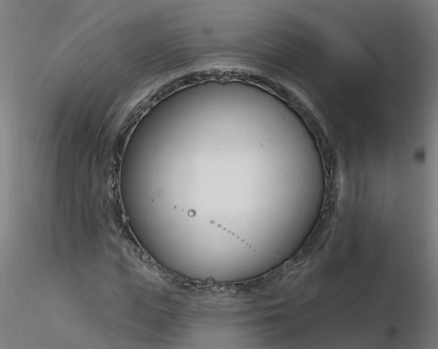 X0000116340823200912221439