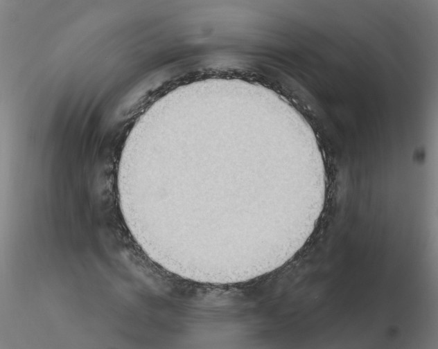 X0000116340824200912221439