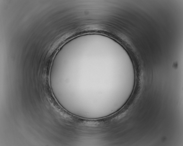 X0000116340825200912221439