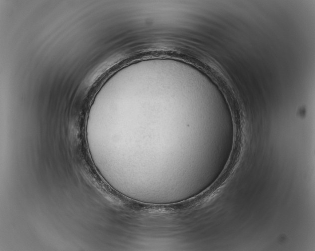 X0000116340826200912221439