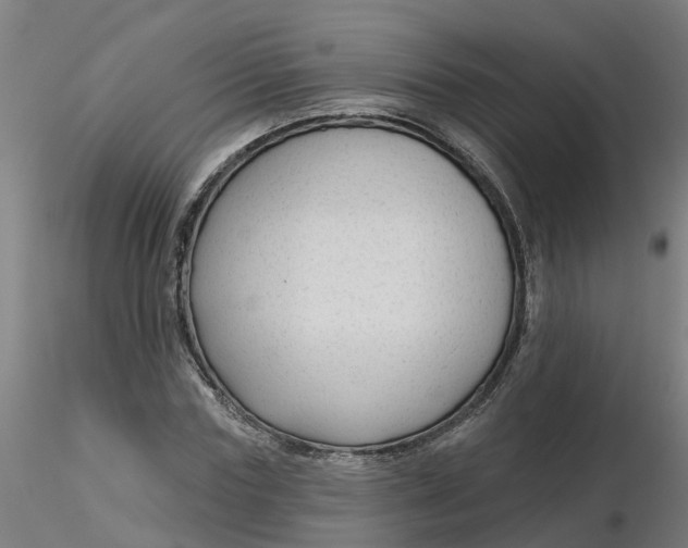 X0000116340827200912221439