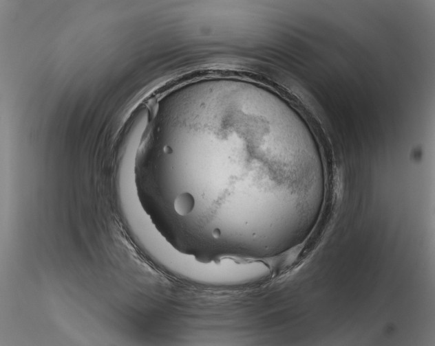 X0000116340829200912221439