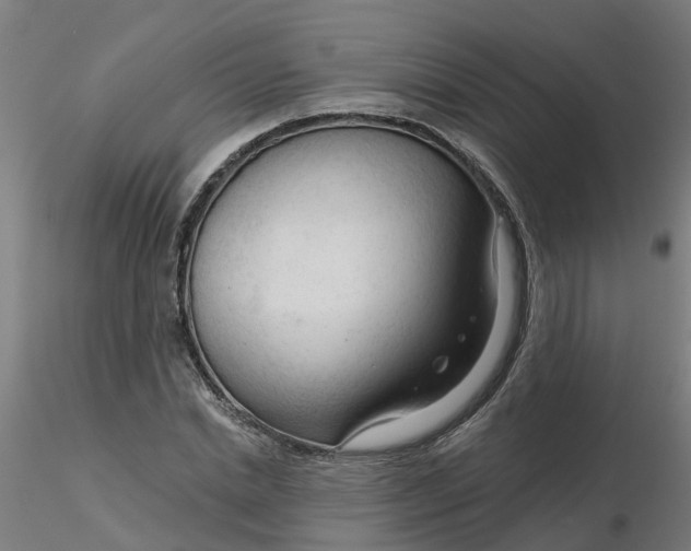 X0000116340830200912221439