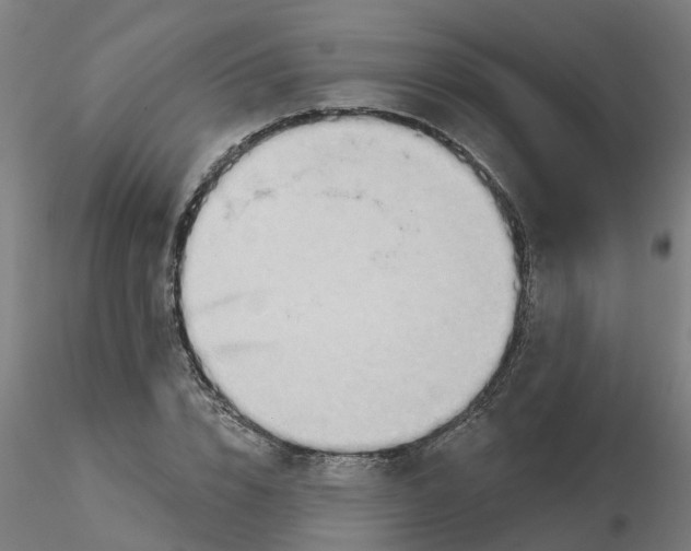 X0000116340832200912221439