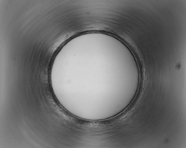 X0000116340834200912221439