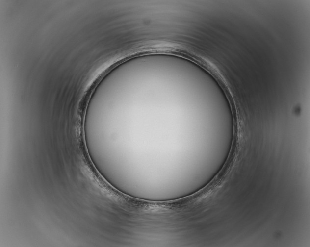 X0000116340835200912221439